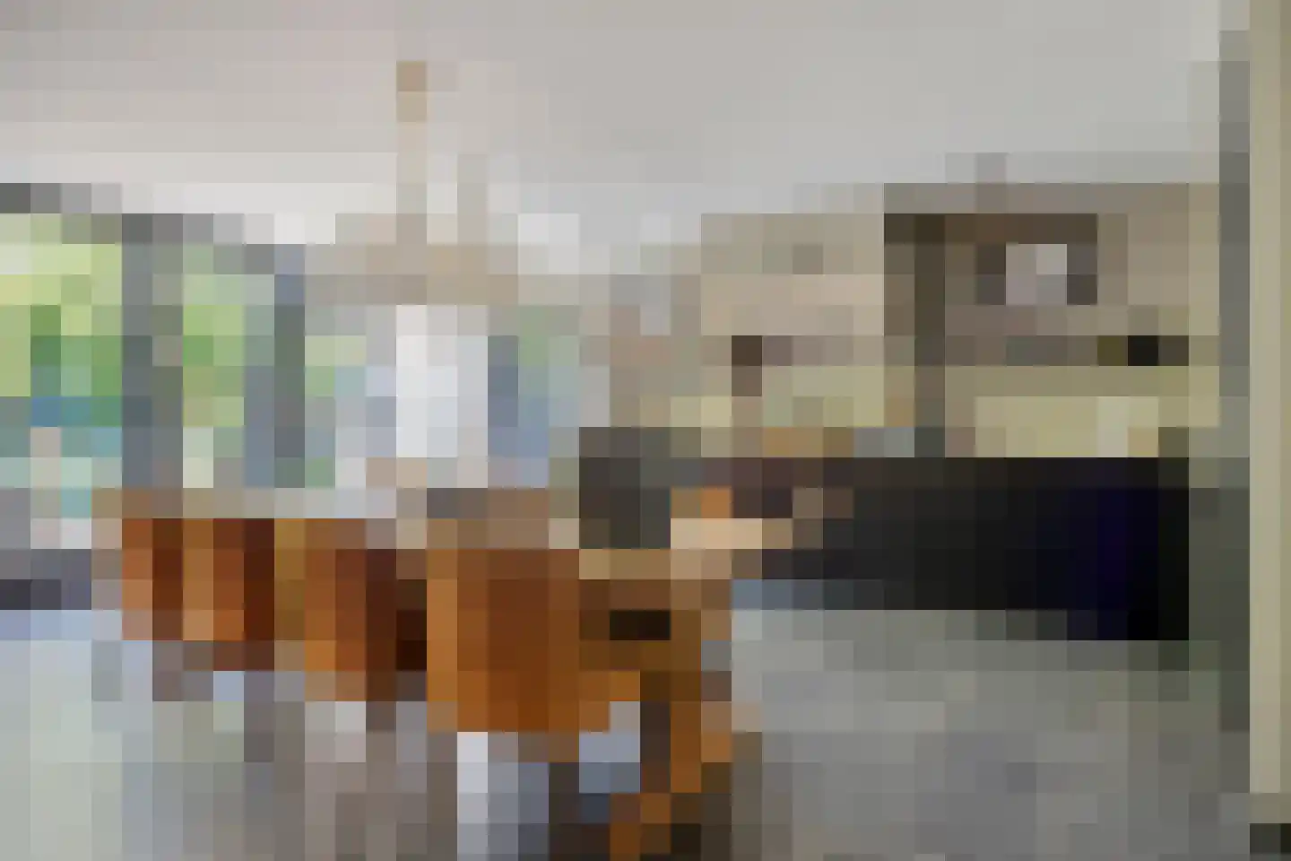 Noorderkroon 15 Veenendaal thumbnail 19