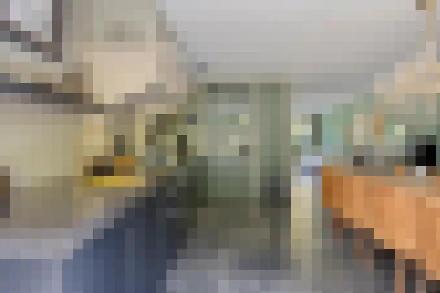 Noorderkroon 15 Veenendaal thumbnail 22