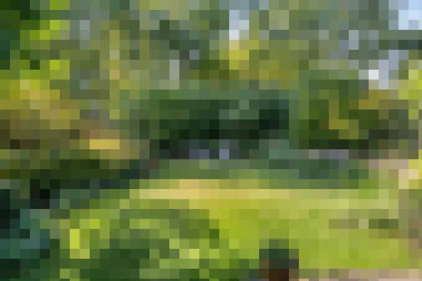 Noorderkroon 15 Veenendaal thumbnail 43