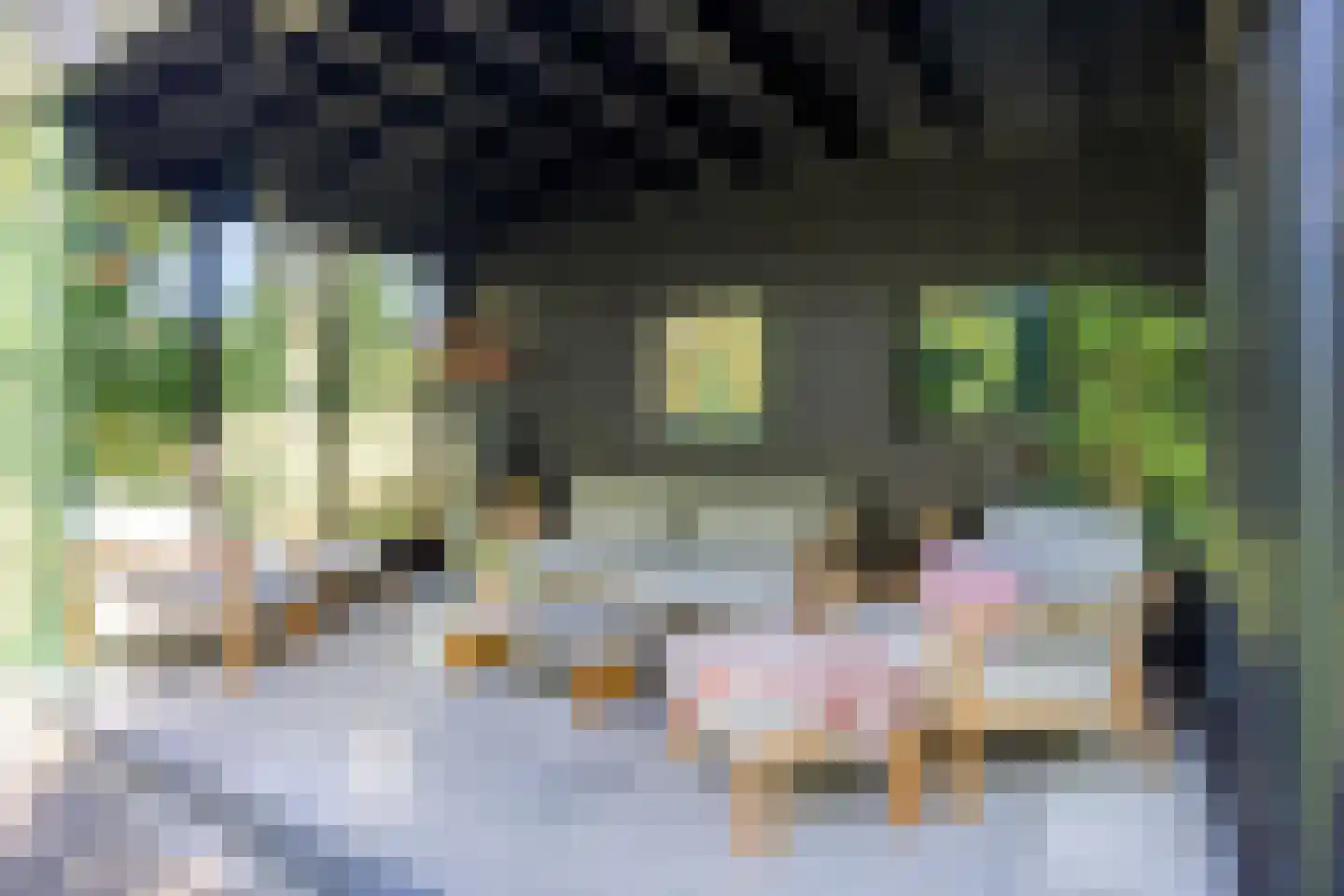Noorderkroon 15 Veenendaal thumbnail 46