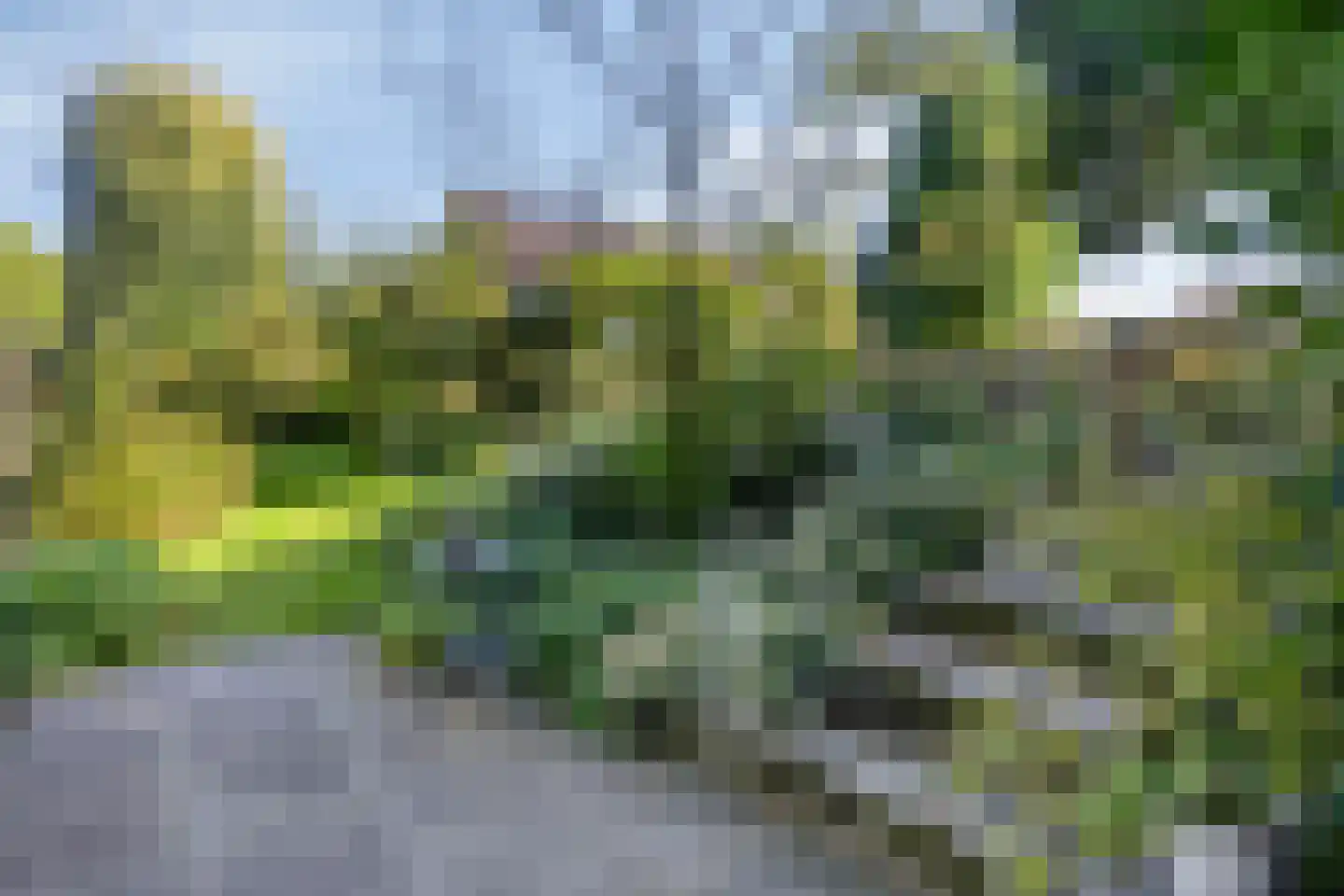 Noorderkroon 15 Veenendaal thumbnail 47