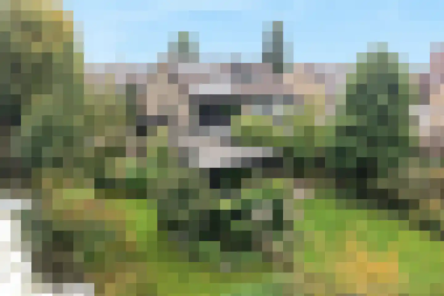 Noorderkroon 15 Veenendaal thumbnail 51