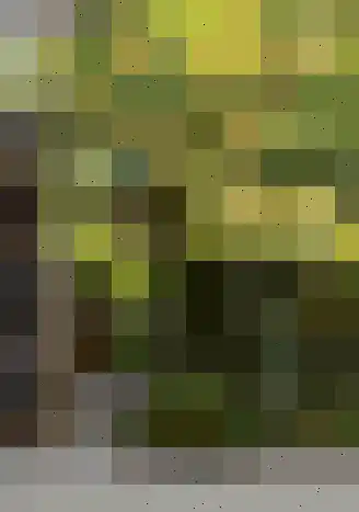 Noorderkroon 15 Veenendaal thumbnail 8