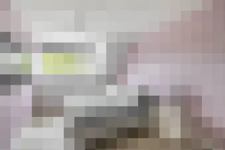 Noorderkroon 16 Lisse thumbnail 16