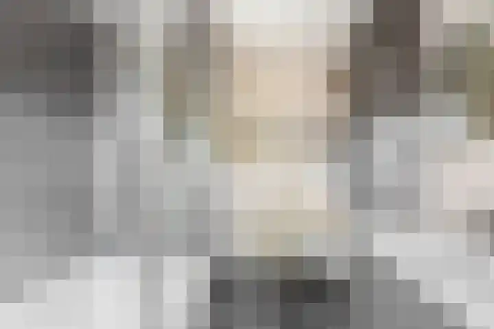 Noorderkroon 16 Lisse thumbnail 21
