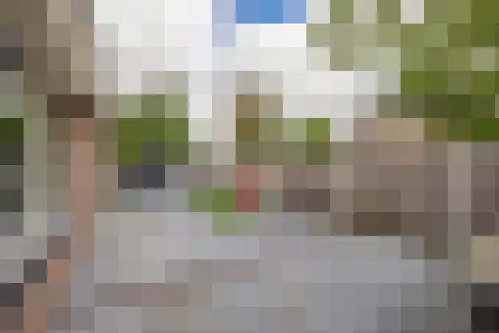 Noorderkroon 16 Lisse thumbnail 27