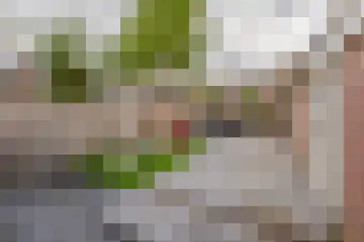 Noorderkroon 16 Lisse thumbnail 29
