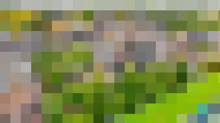 Noorderkroon 16 Lisse thumbnail 32