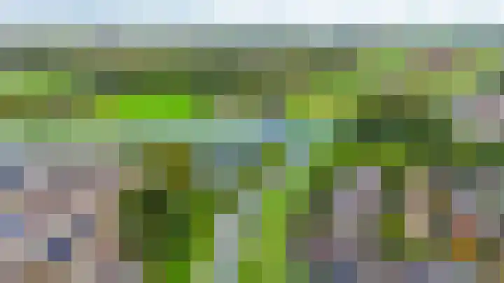 Noorderkroon 16 Lisse thumbnail 34