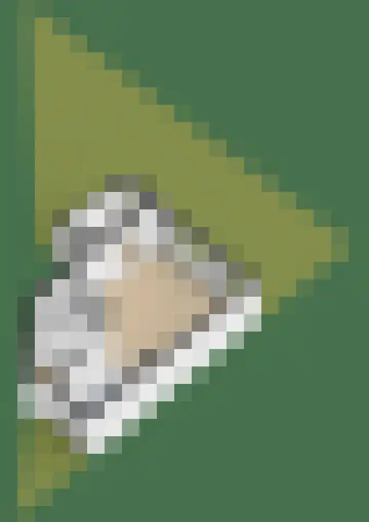 Noorderkroon 16 Lisse thumbnail 42