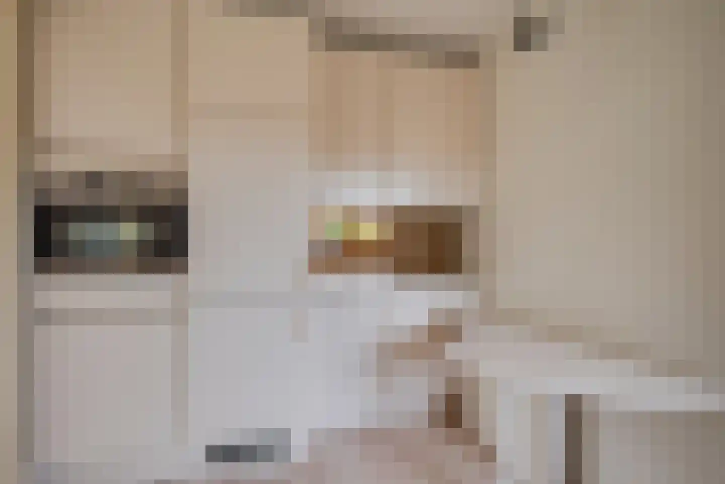 Noorderkroon 17 Bleiswijk thumbnail 22