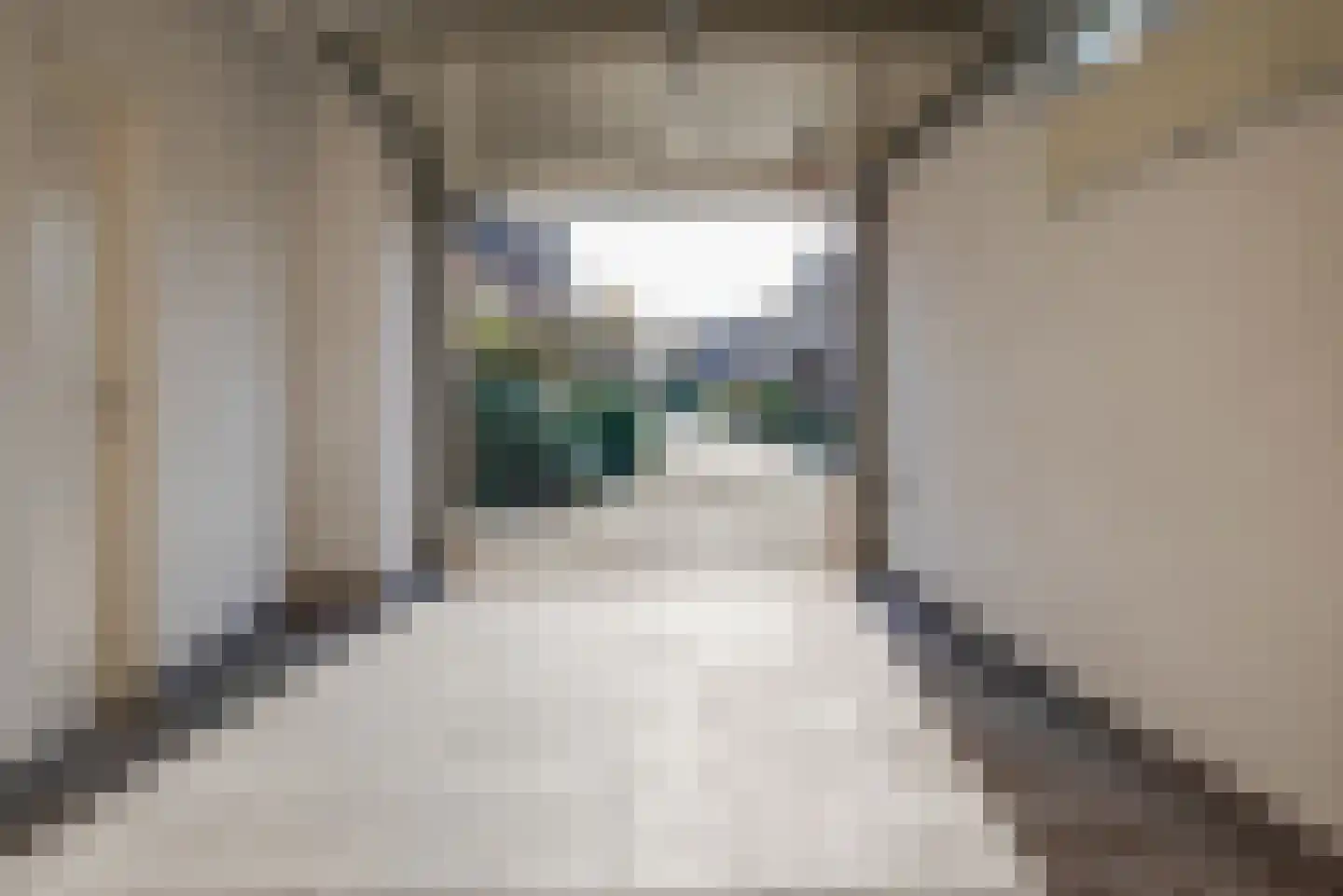 Noorderkroon 17 Bleiswijk thumbnail 27