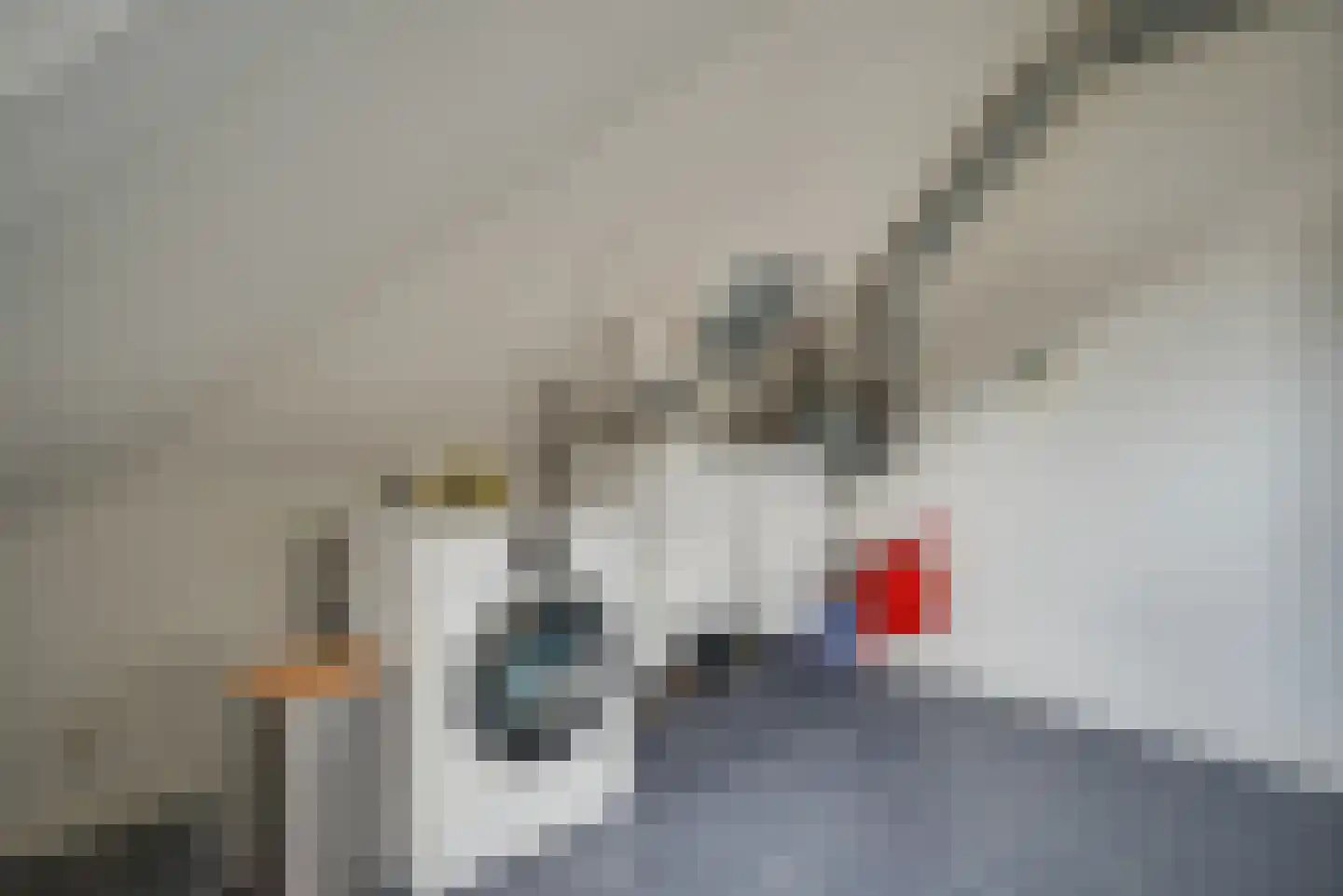 Noorderkroon 17 Bleiswijk thumbnail 32