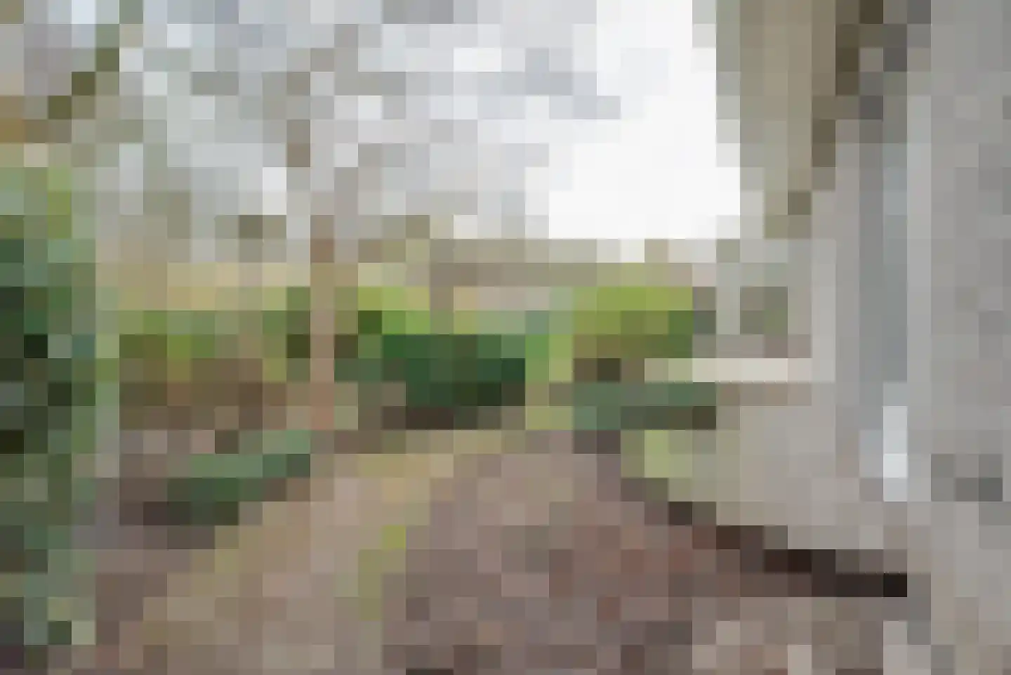 Noorderkroon 17 Bleiswijk thumbnail 54