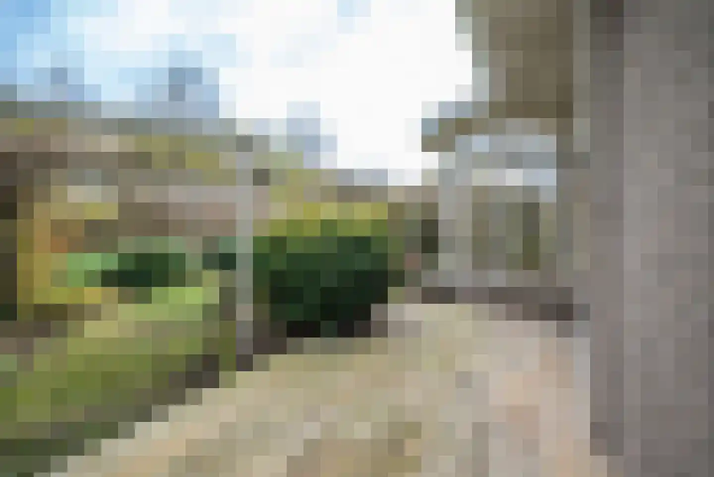 Noorderkroon 17 Bleiswijk thumbnail 56