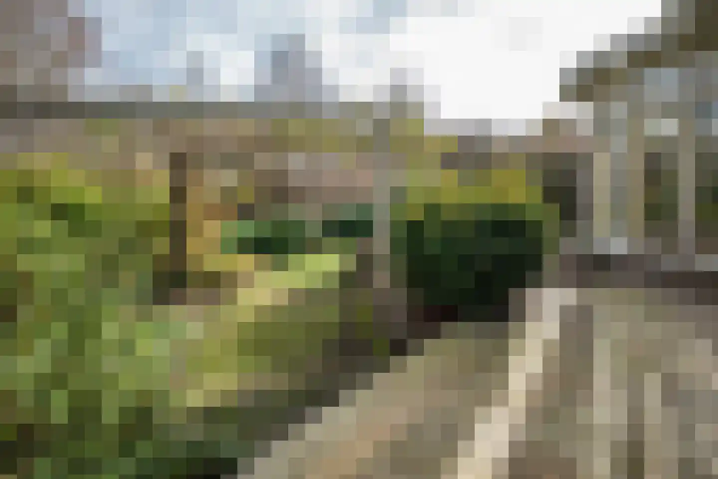 Noorderkroon 17 Bleiswijk thumbnail 58