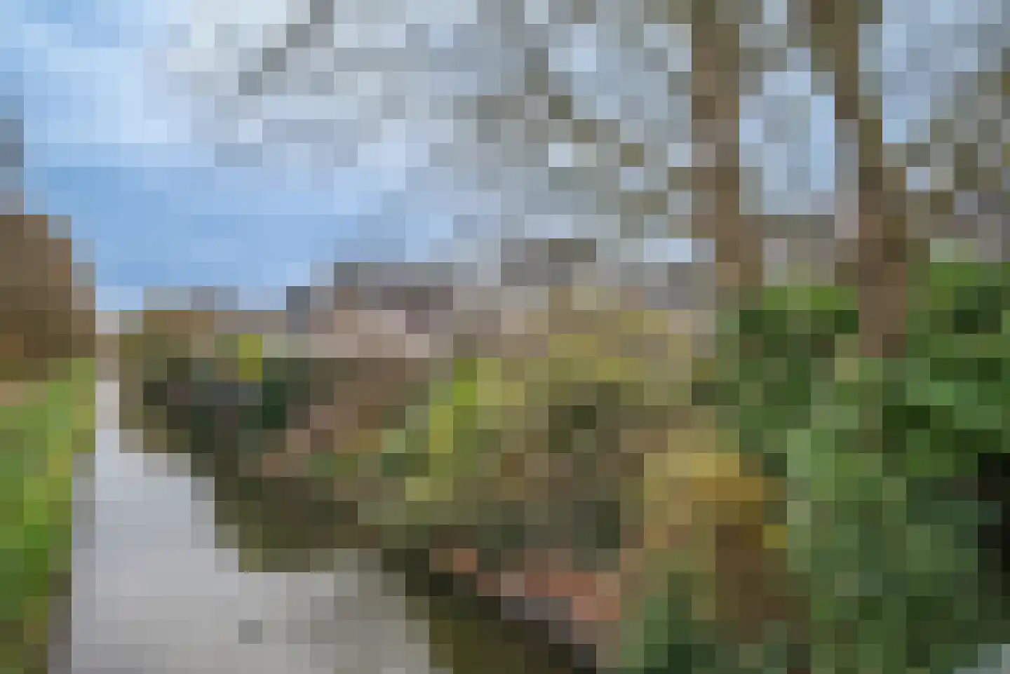 Noorderkroon 17 Bleiswijk thumbnail 61