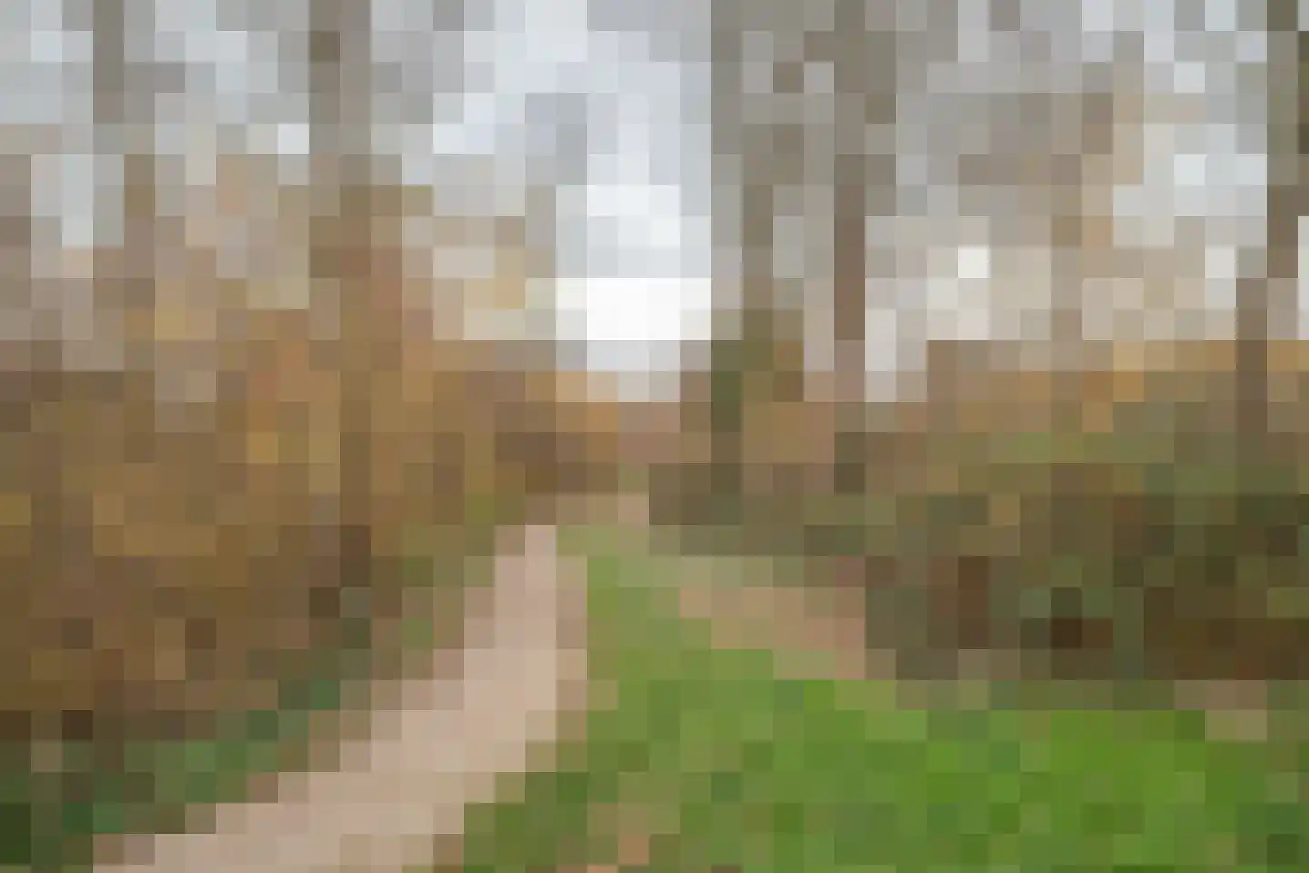 Noorderkroon 17 Bleiswijk thumbnail 62