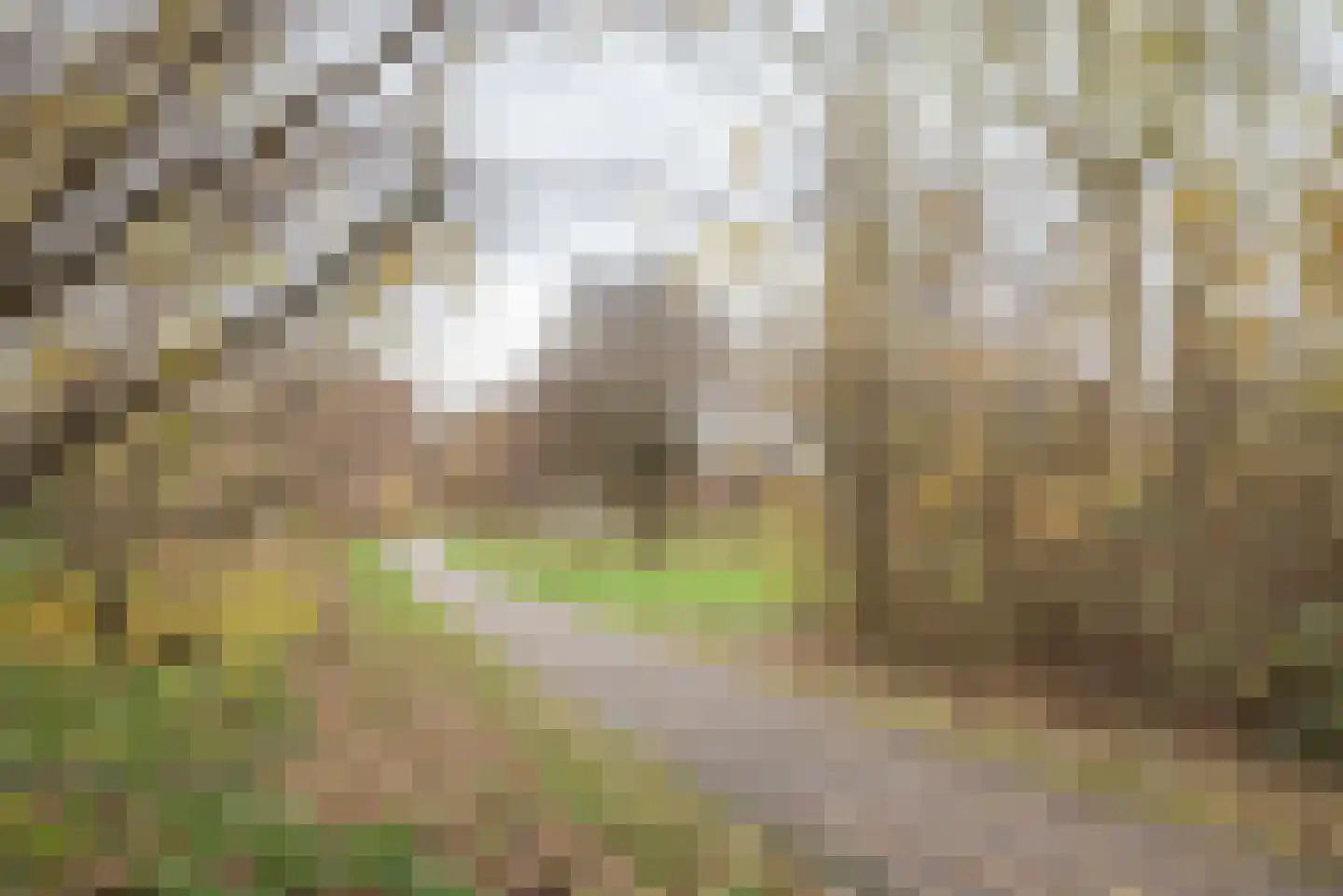 Noorderkroon 17 Bleiswijk thumbnail 63