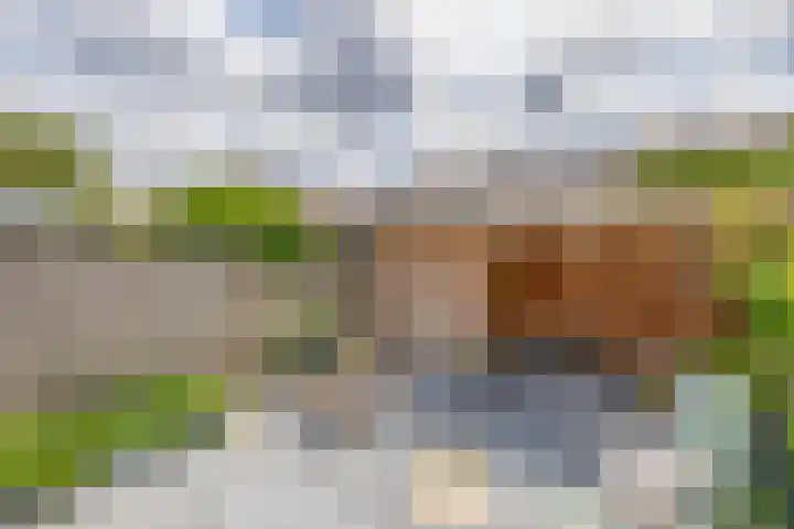 Noorderkroon 17 Lisse thumbnail 17