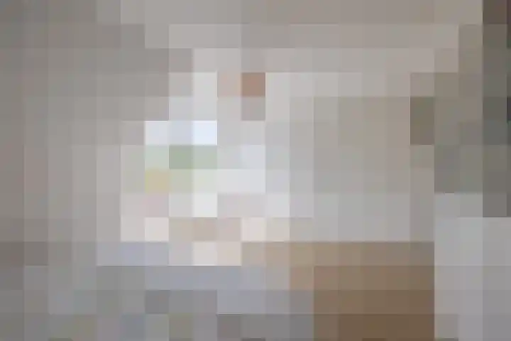 Noorderkroon 17 Lisse thumbnail 23