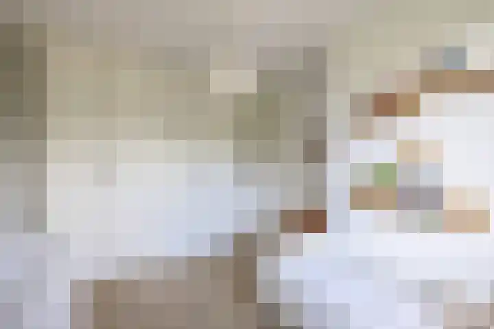 Noorderkroon 17 Lisse thumbnail 32