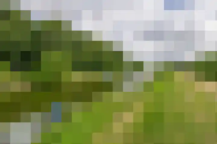 Noorderkroon 17 Lisse thumbnail 41