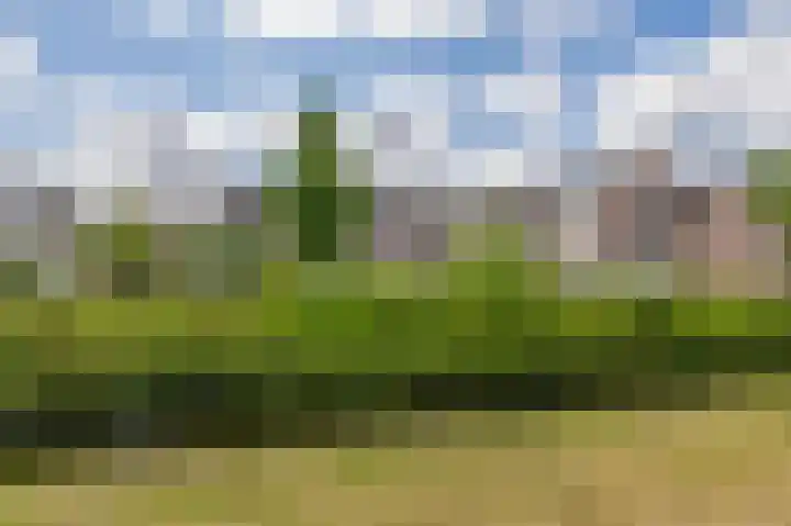 Noorderkroon 17 Lisse thumbnail 42