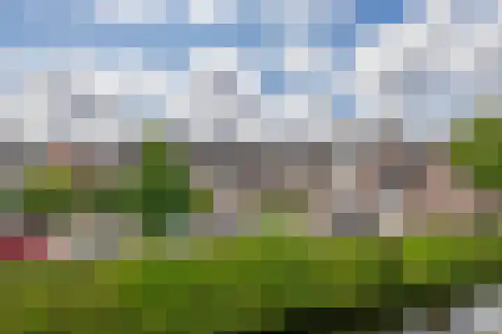 Noorderkroon 17 Lisse thumbnail 43