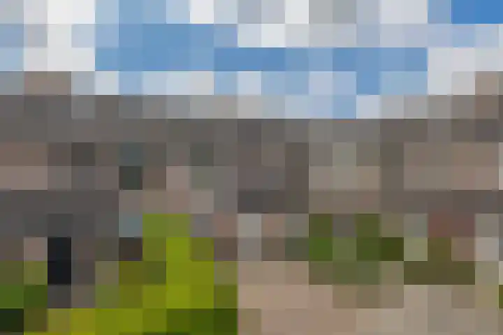 Noorderkroon 17 Lisse thumbnail 57