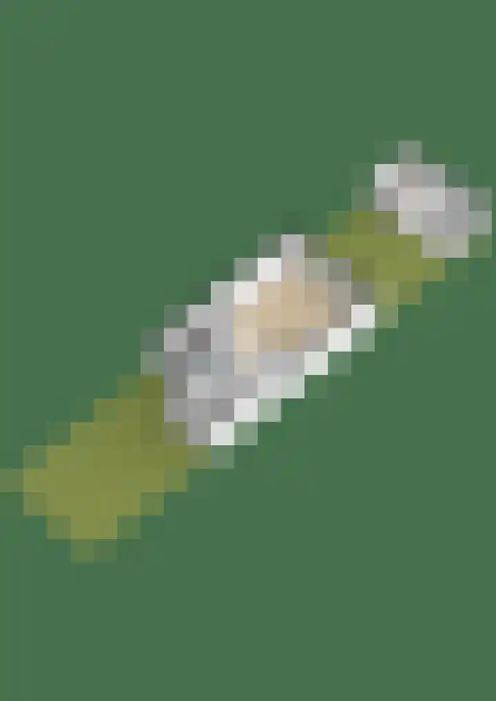 Noorderkroon 17 Lisse thumbnail 62