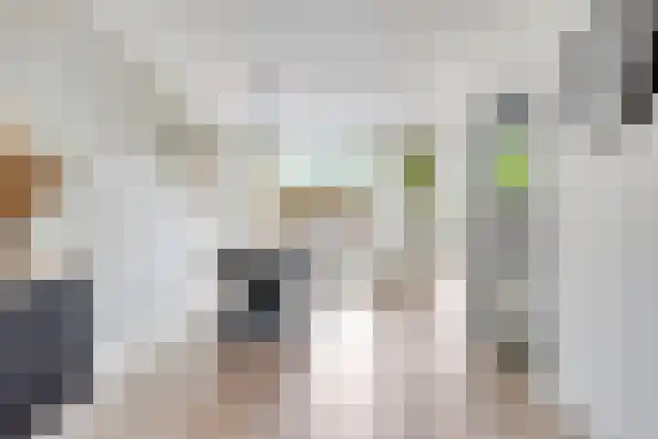 Noorderkroon 19 Veenendaal thumbnail 12