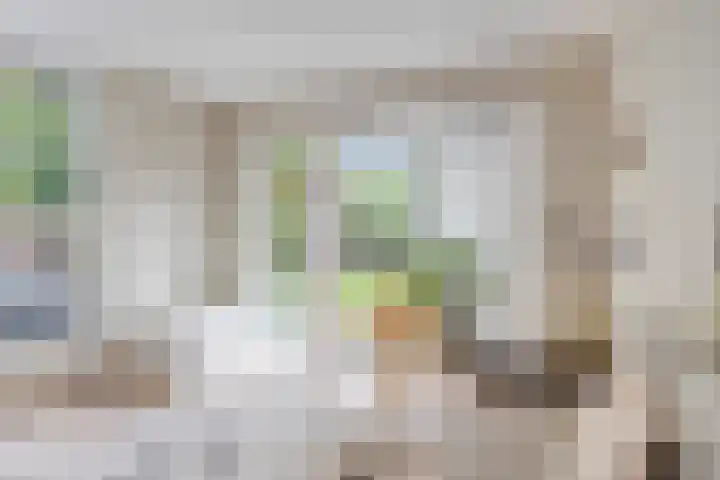 Noorderkroon 19 Veenendaal thumbnail 23