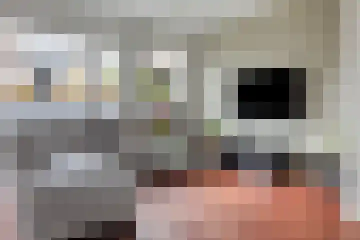 Noorderkroon 2 Bleiswijk thumbnail 10