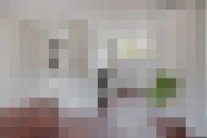 Noorderkroon 2 Bleiswijk thumbnail 11