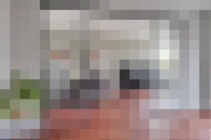 Noorderkroon 2 Bleiswijk thumbnail 14
