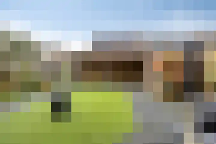 Noorderkroon 2 Bleiswijk thumbnail 18