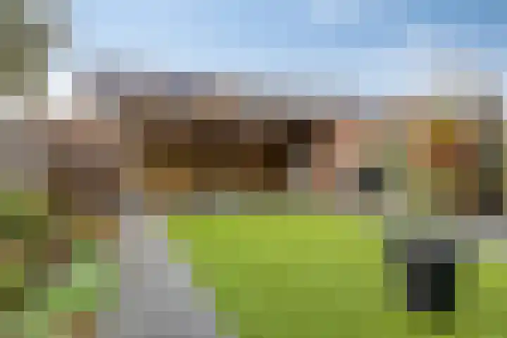 Noorderkroon 2 Bleiswijk thumbnail 19