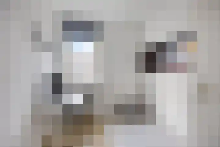Noorderkroon 2 Bleiswijk thumbnail 33