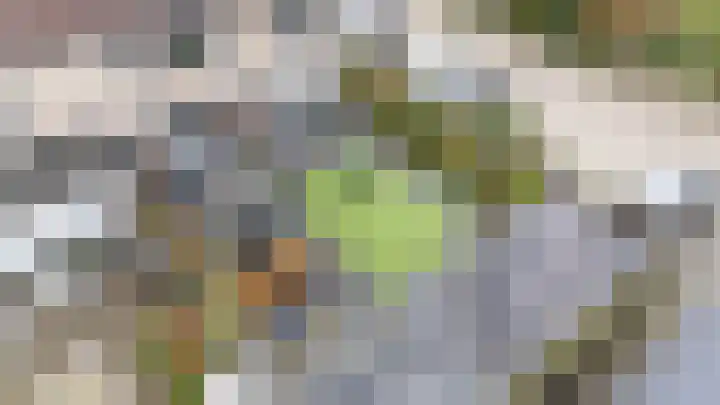 Noorderkroon 2 Bleiswijk thumbnail 44