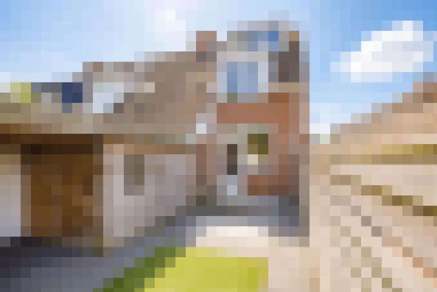 Noorderkroon 22 Lisse thumbnail 25