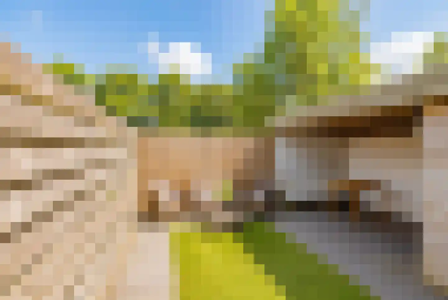 Noorderkroon 22 Lisse thumbnail 26