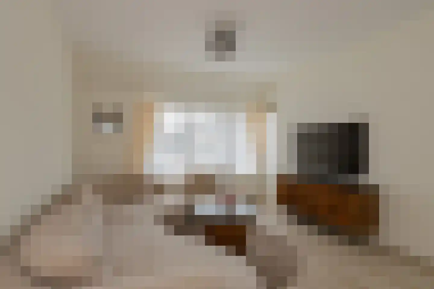 Noorderkroon 22 Lisse thumbnail 9