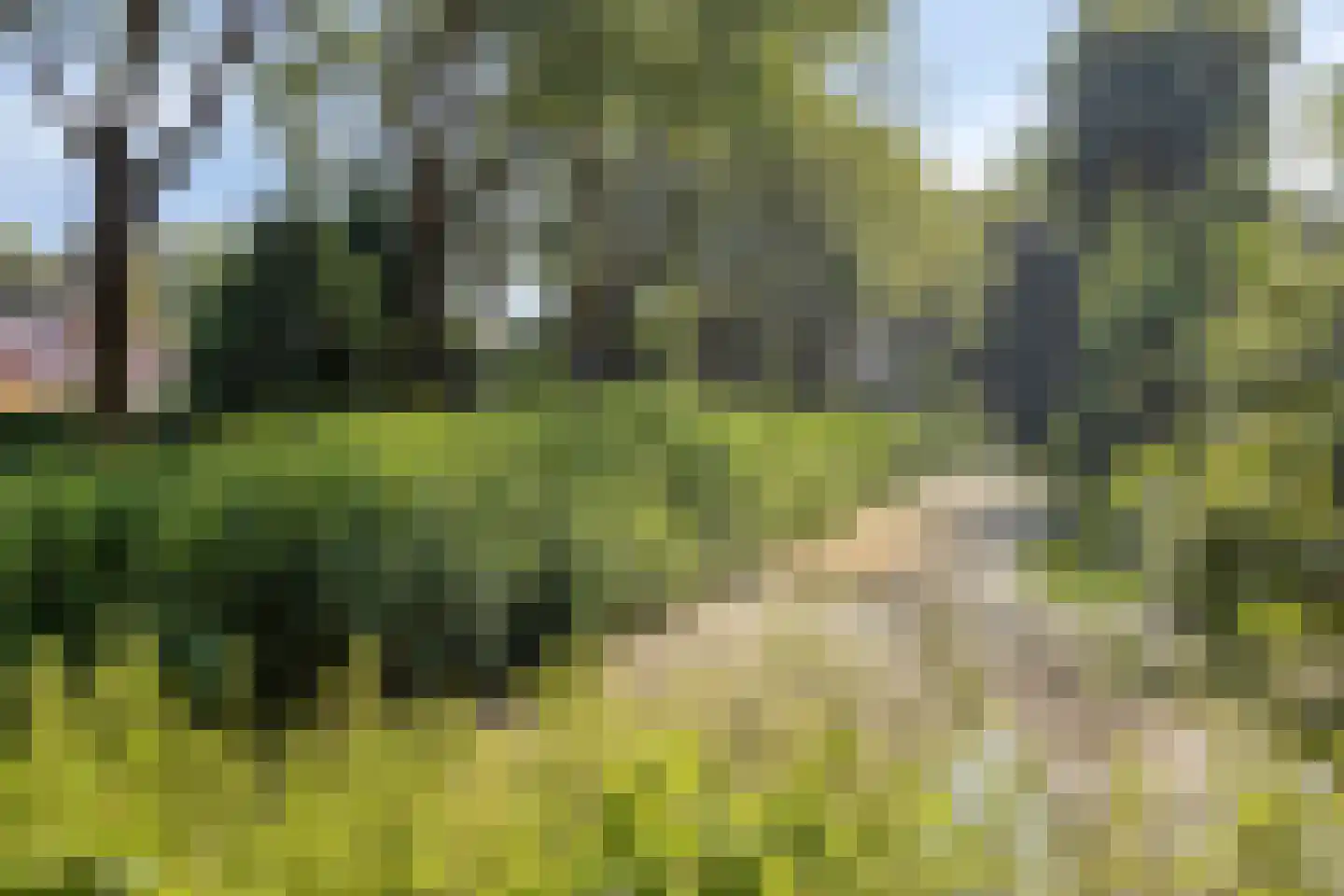 Noorderkroon 22 Veenendaal thumbnail 29
