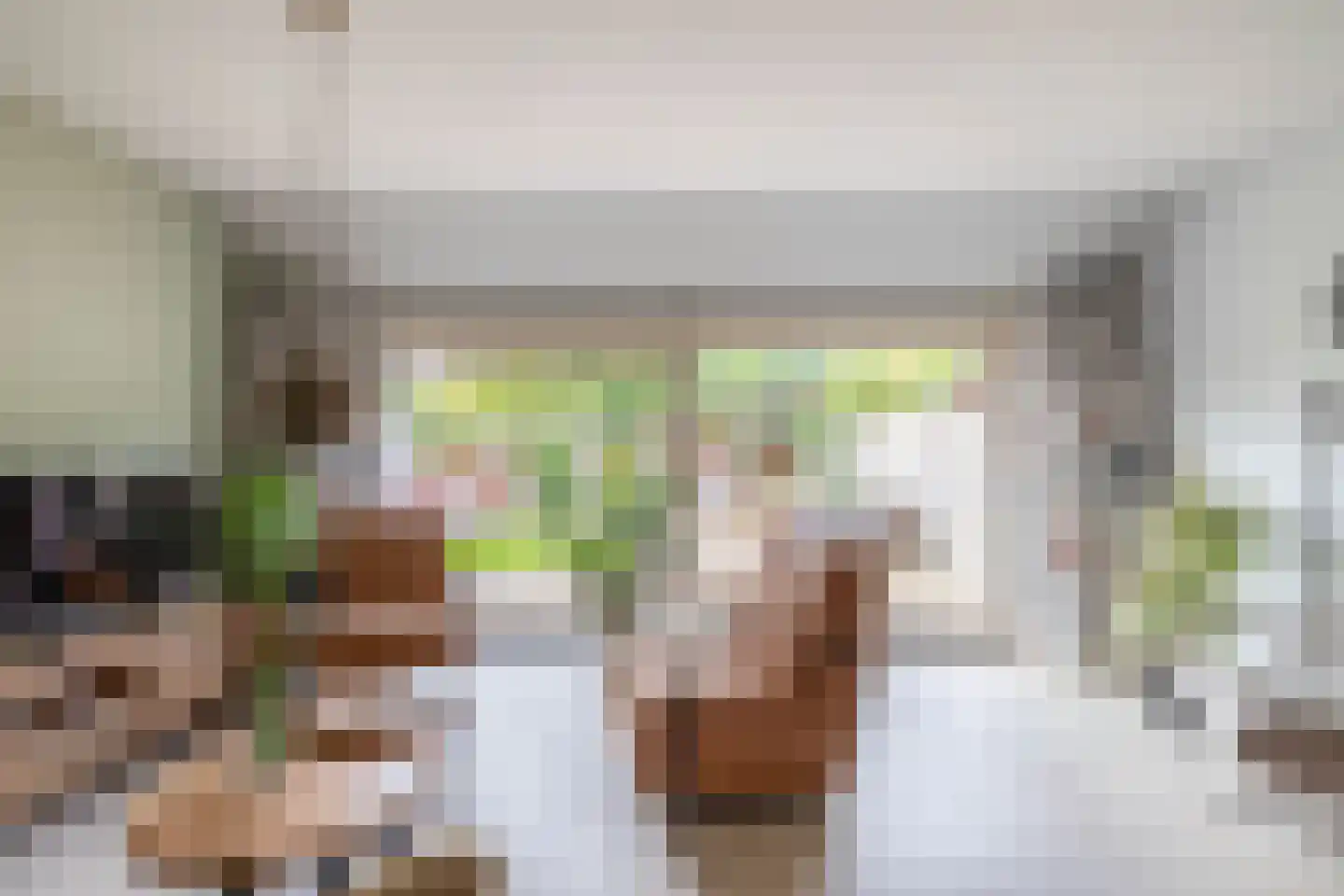 Noorderkroon 23 Lisse thumbnail 11