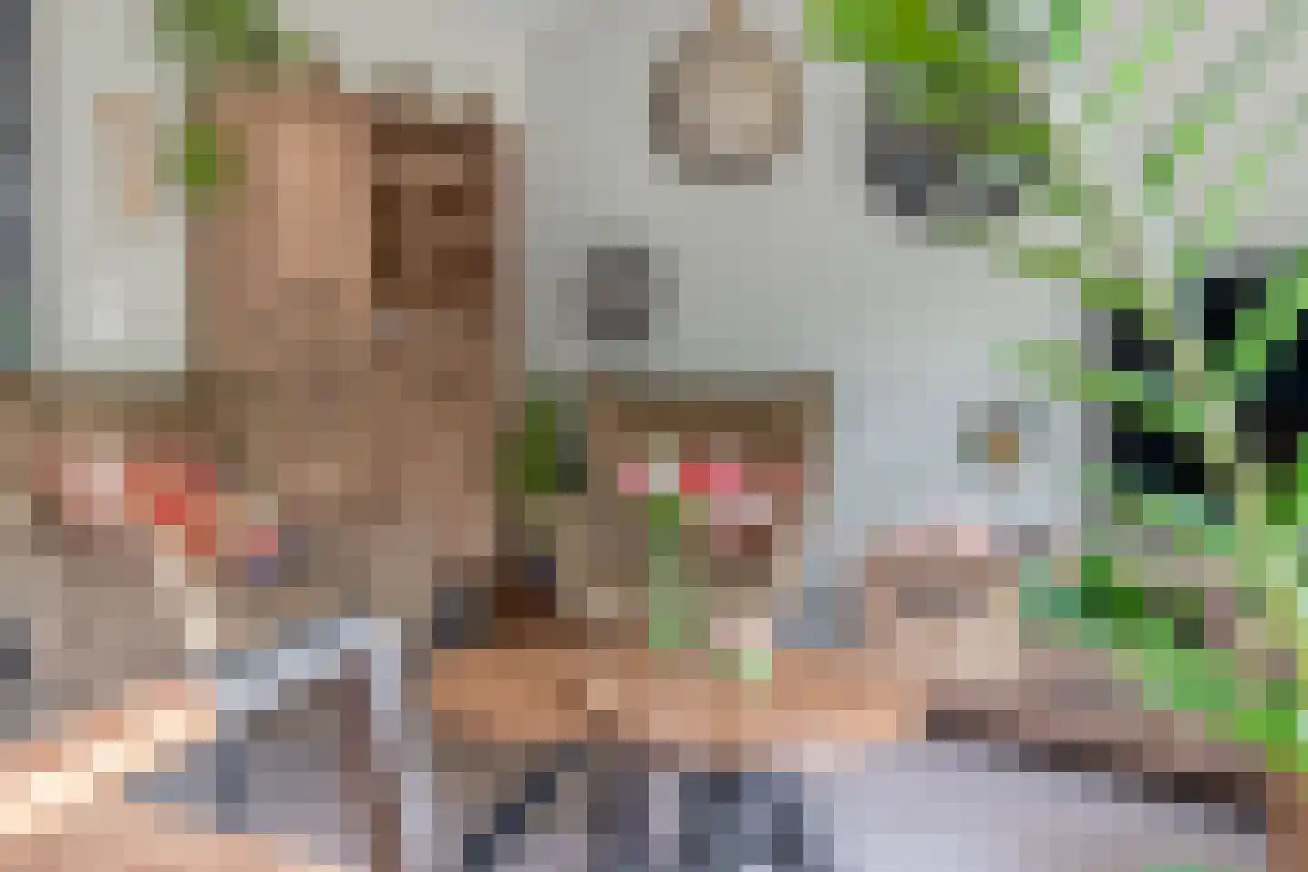 Noorderkroon 23 Lisse thumbnail 16