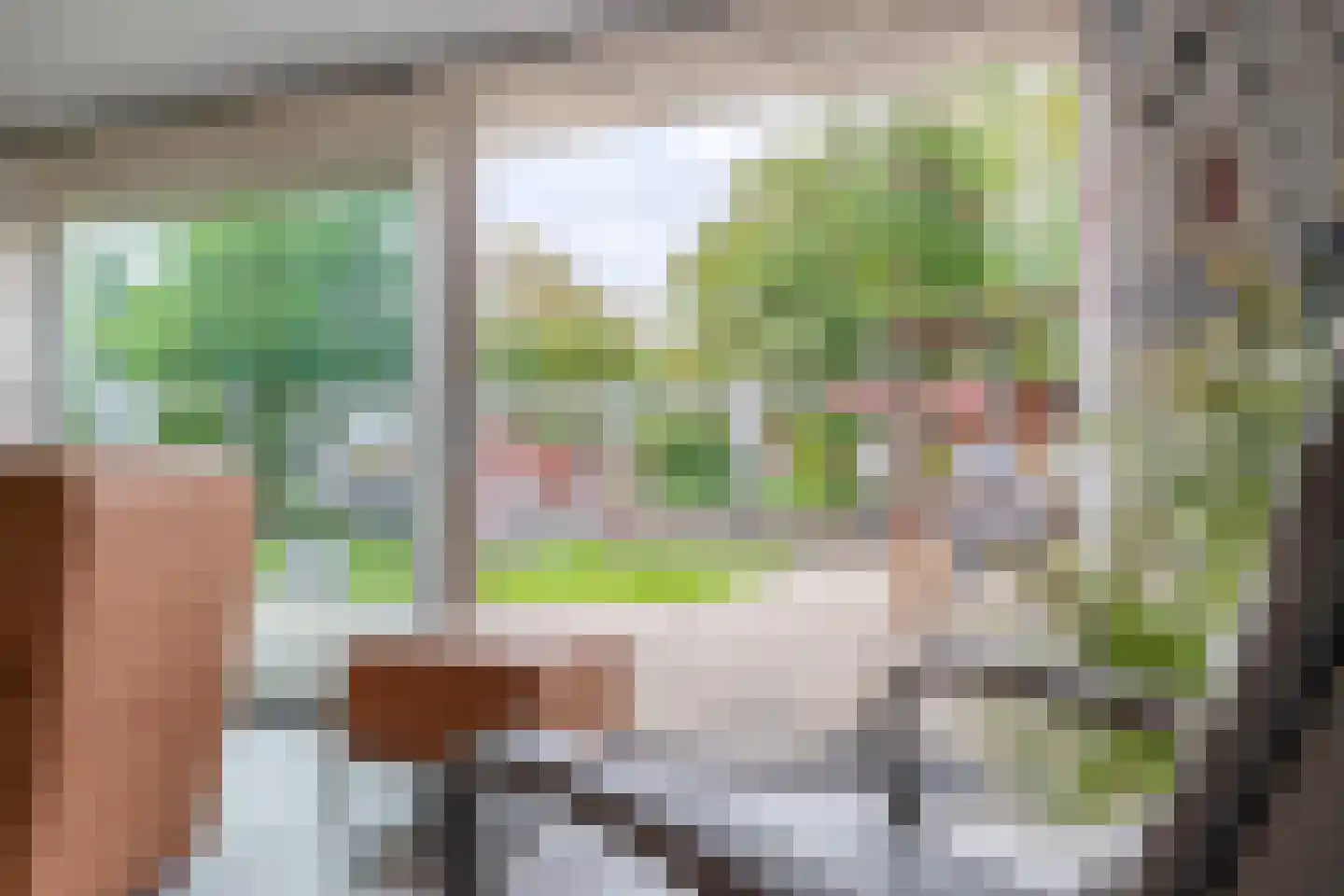 Noorderkroon 23 Lisse thumbnail 17