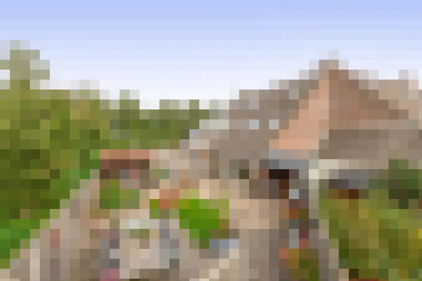 Noorderkroon 23 Lisse thumbnail 22