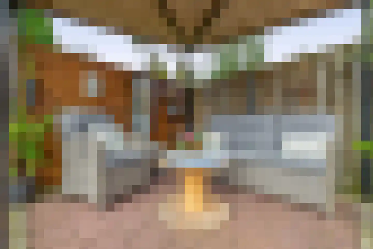 Noorderkroon 23 Lisse thumbnail 27