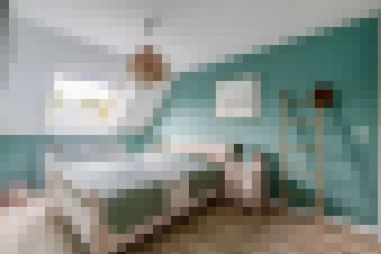 Noorderkroon 23 Lisse thumbnail 30